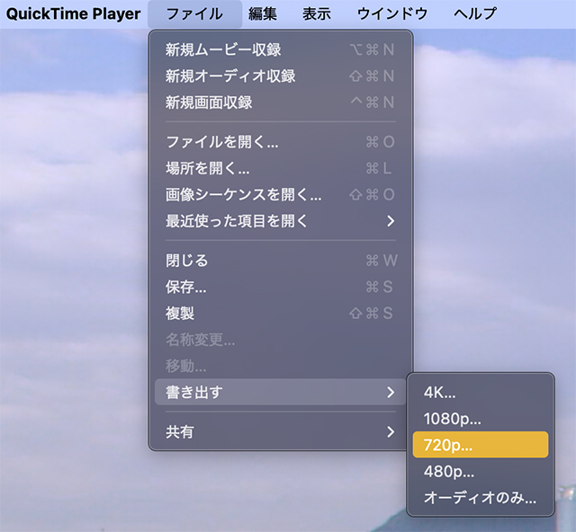 解像度を選んでサイズ調整する画面