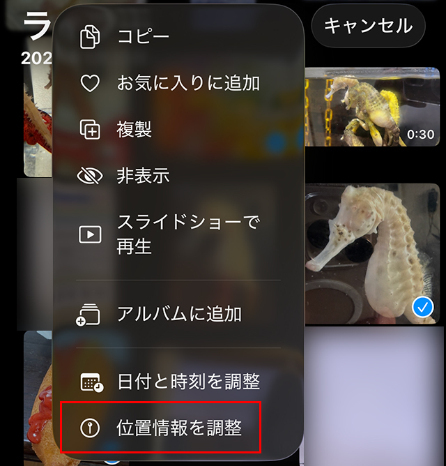 iPhone 写真 位置情報を一括で『位置情報を調整』