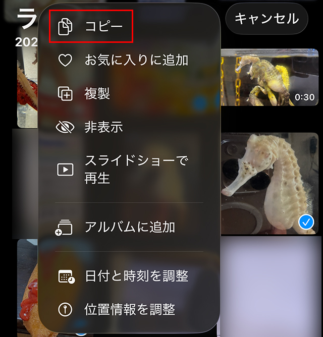 iPhone 写真 位置情報を一括削除前にコピーする