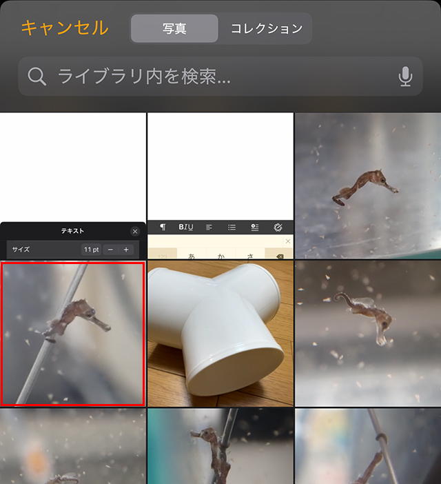 写真群の中から、使用する写真をタップします。
