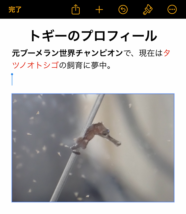 これで、写真が挿入されました。