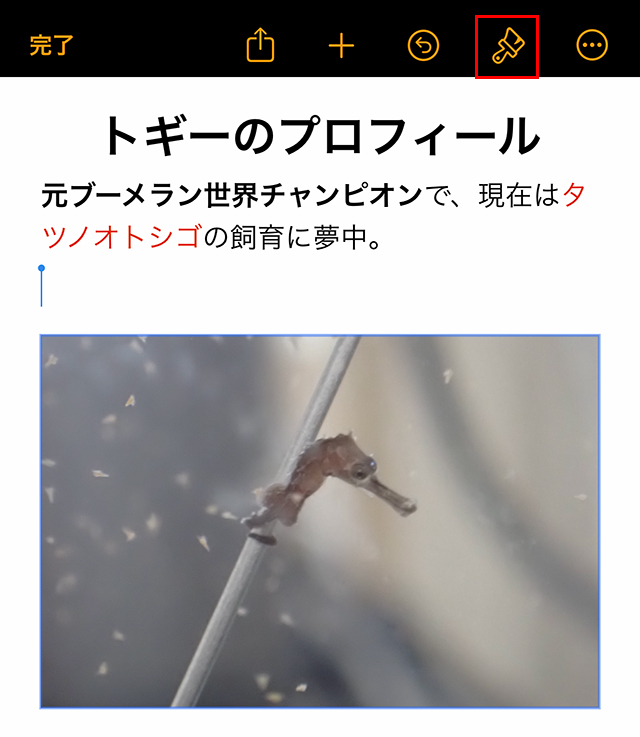 続いて、『画像』の大きさを変えてみましょう。
『画像』をタップして、上部にあるメニューの中から『ブラシ』マークをタップします。