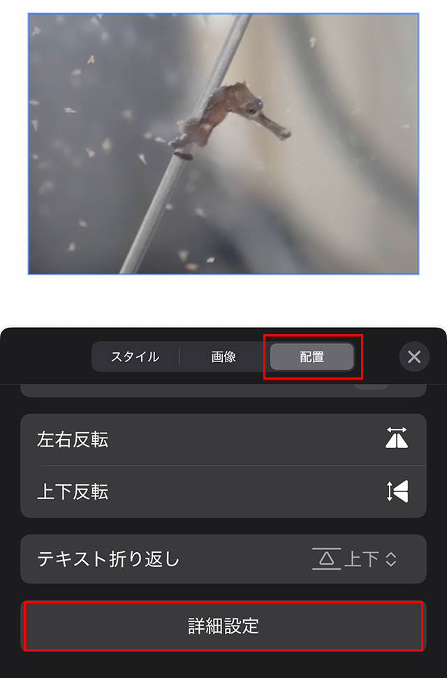 下部にメニューが表示されるので、その中から、『配置』をタップし、『詳細設定』をタップします。