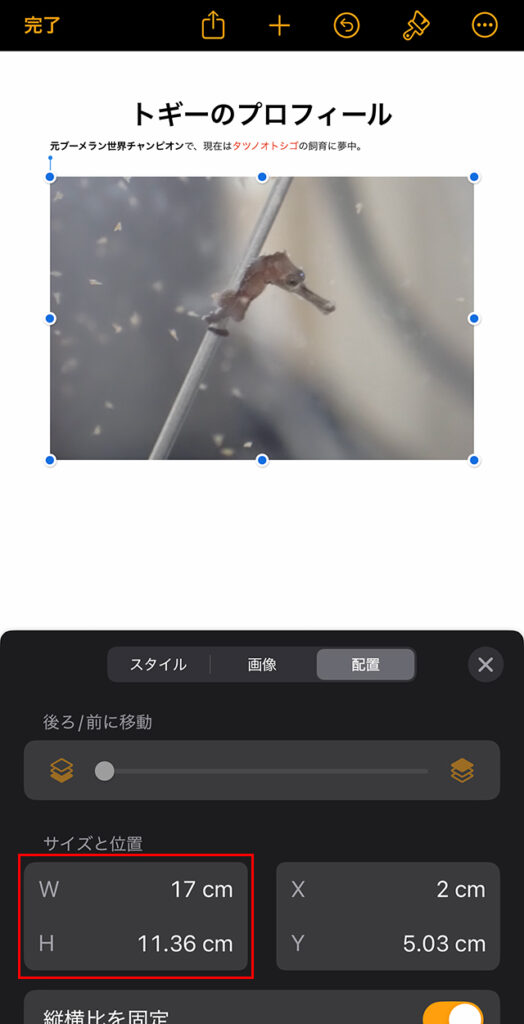 下部に『サイズと位置』が表示されるので、タップします。