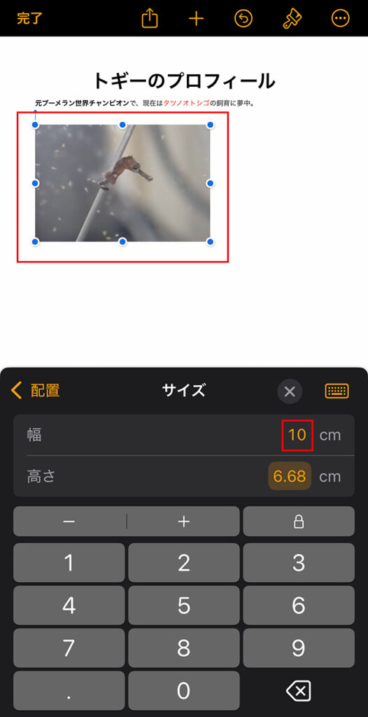 挿入していた『画像』がこれで小さくなりました。