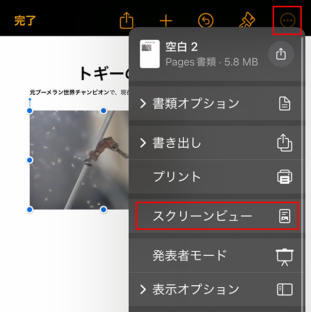 画面が広い表示になってしまいました。
それを戻すために、画面右上の『・・・』マークをタップして、『スクリーンビュー』をタップすることで、iPhoneに適した画面に戻ります。