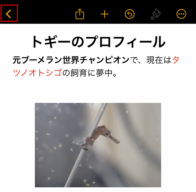 より確実に『保存』を実行する場合は、左上の『<』マークをタップします。