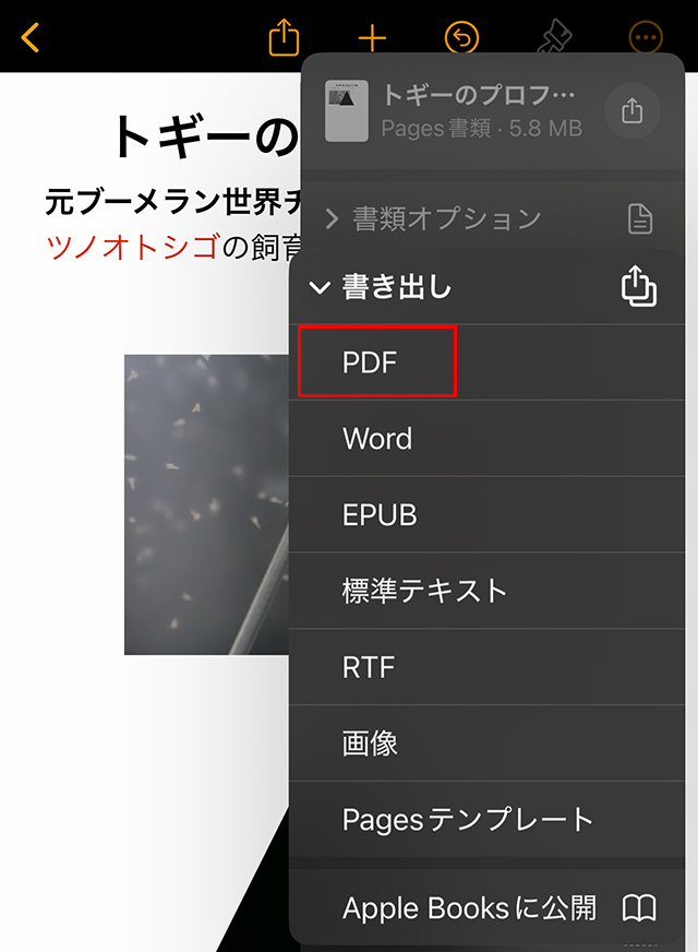 その中から、『PDF』か『Word』をタップします。