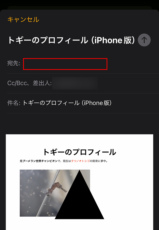 『宛先:』を入れ、送信して完了です。