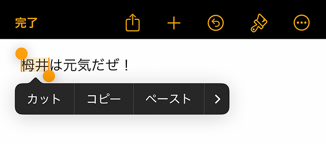Pages ルビ iPhone 文字選択
